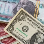 الجنيه المصري