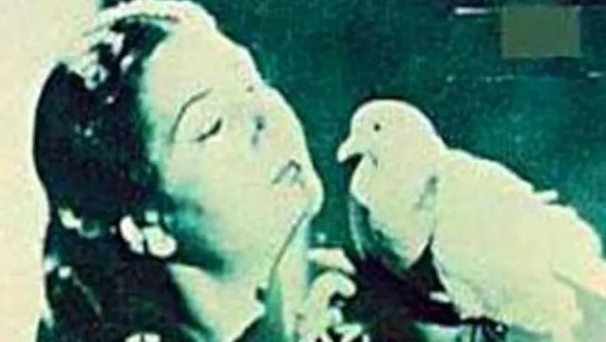 الملصق الدعائي لفيلم "نشيد الأمل" للمخرج أحمد بدرخان - المكتب الإعلامي لمهرجان البحر الأحمر السينمائي