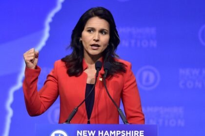 تولسي جابارد