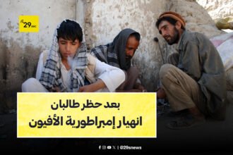 افيون افغانستان