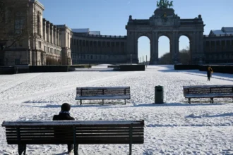 احتيال باسم التاج الملكي