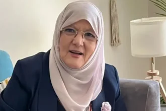 شمس البارودي