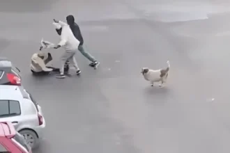 تونس – سرقة امرأة – سكرة – جرائم السلب – الهجرة غير النظامية – فيديو صادم – الأمن في تونس