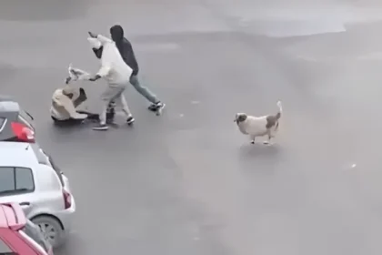 تونس – سرقة امرأة – سكرة – جرائم السلب – الهجرة غير النظامية – فيديو صادم – الأمن في تونس