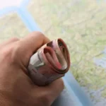 هجرة الأثرياء – ثروات العالم – المليارديرات – الإقامة الذهبية – Henley & Partners – UBS – انتقال الثروات – الإمارات – الجنسية عبر الاستثمار