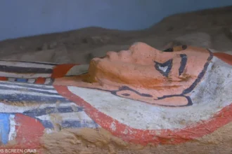 مصر.. كشف أثري جديد بمنطقة سقارة