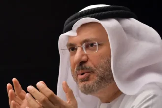 المستشار الدبلوماسي لرئيس دولة الإمارات، أنور قرقاش